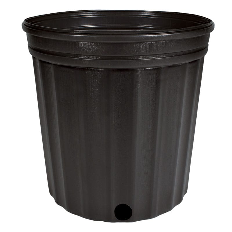 Plastic Nursery Pot: 8" Deep Ribbed Pot (1.72 gallon) | Planterday: Your  Mission-Driven Plant Shop